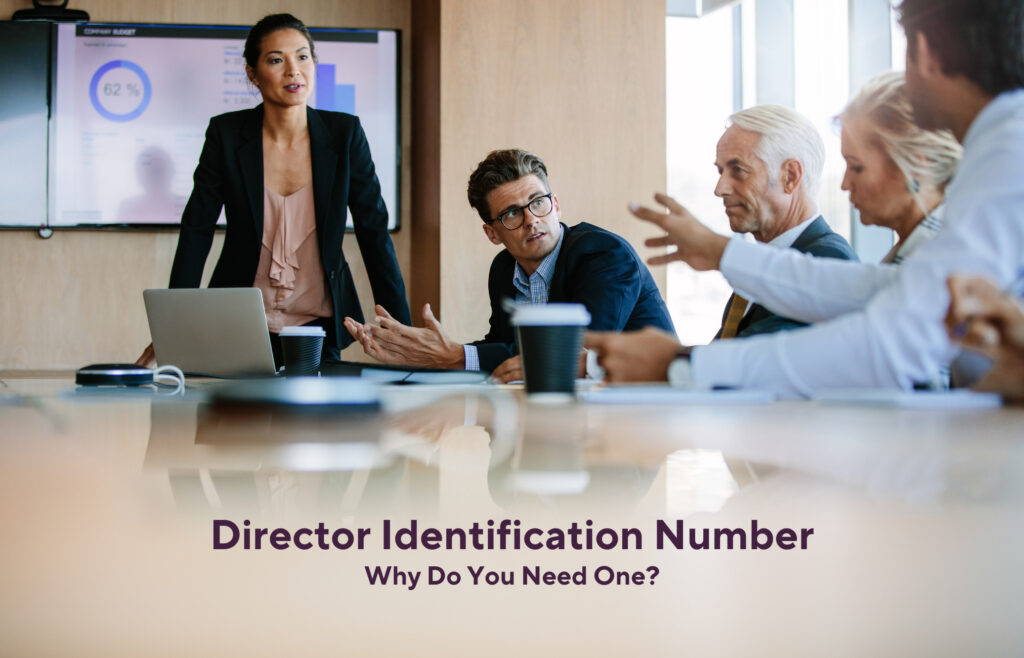 director identification number system